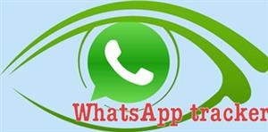 Mspy for Whatsapp